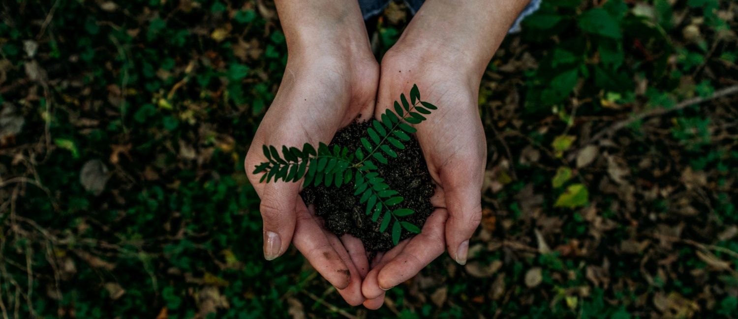 Czy ogrzewanie na podczerwień się opłaca?